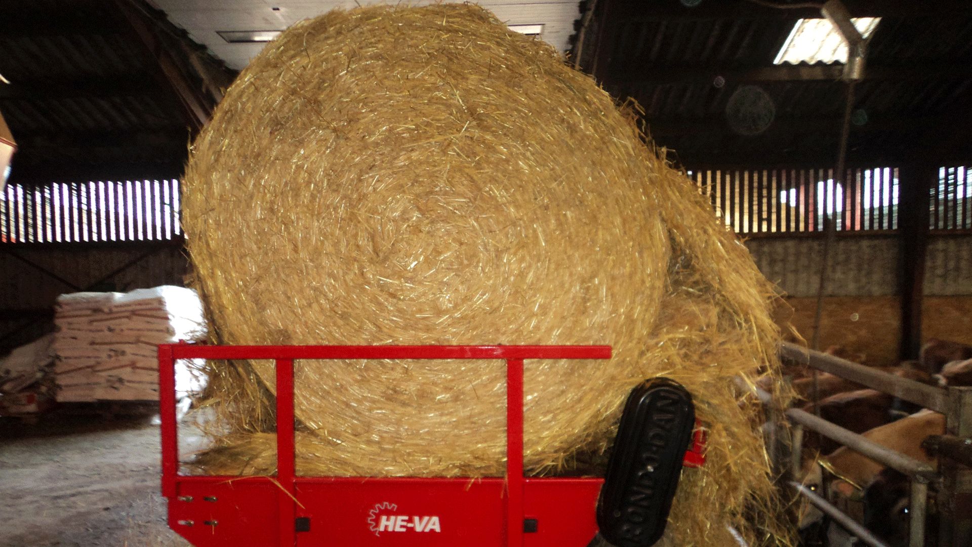 Machine agricole Rondo-Dan pour alimentation du bétail