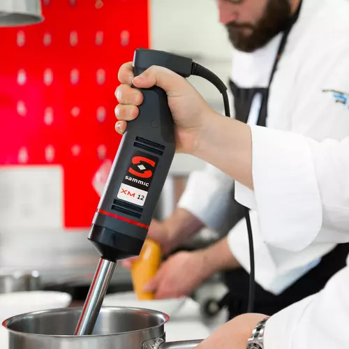 Mixeur plongeant professionnel - XM-12 - 240W - pour récipients jusqu'à 10L_1