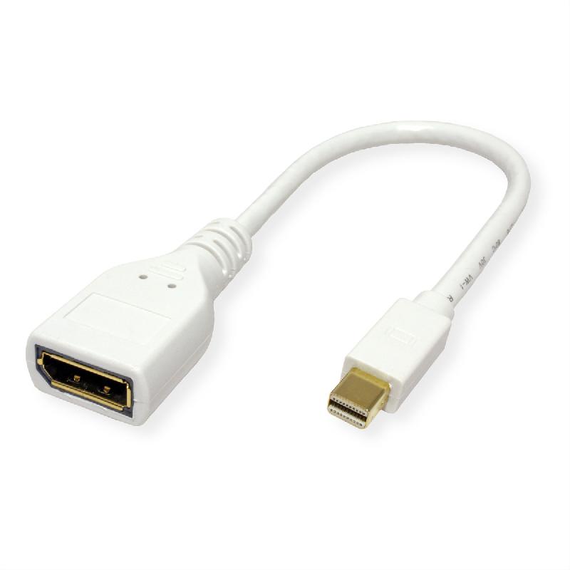 ROLINE Adaptateur DisplayPort, Mini DP M - DP F, 0,15 m_1