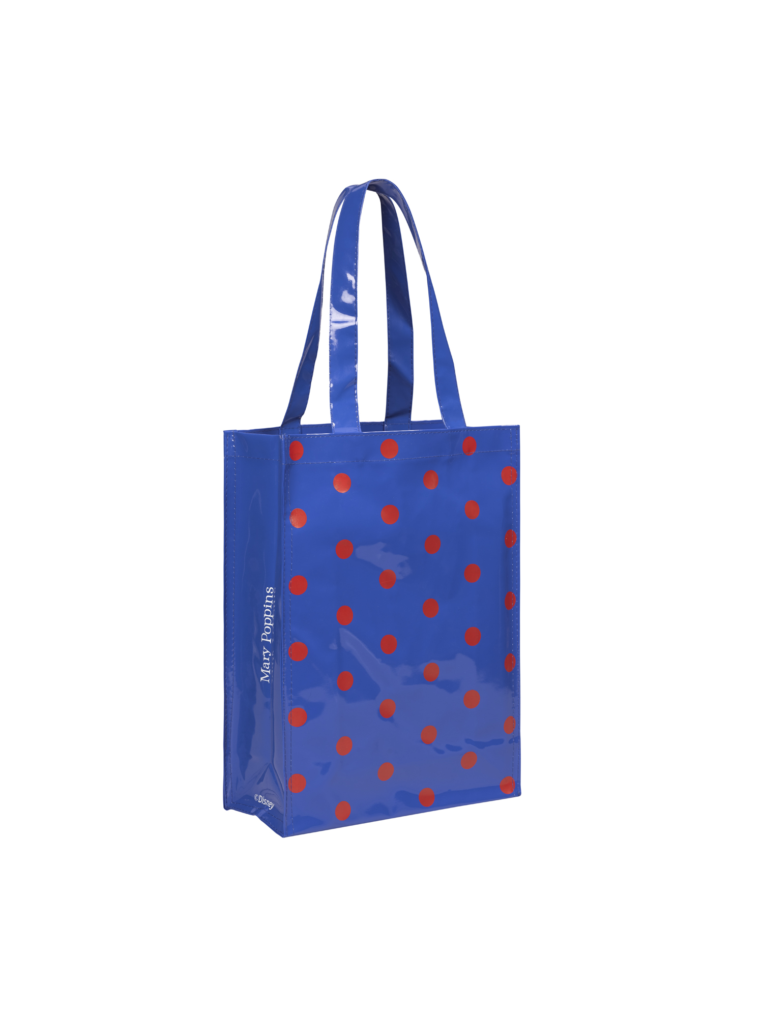 Sac réutilisable en cuir - cuir miroir PVC - dimensions 30x40x15cm - Réf : FRABHVDP_1