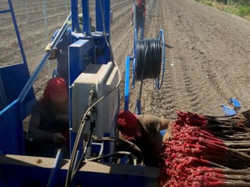 Planteuse Révolution pour vignobles et arbres fruitiers