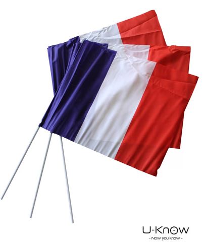 Drapeau de supporter 30 x 20 cm - DS 45_1