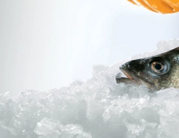 Machine à glace écaille sans réservoir Brema - 250kg/24h - Référence BREC 250_1