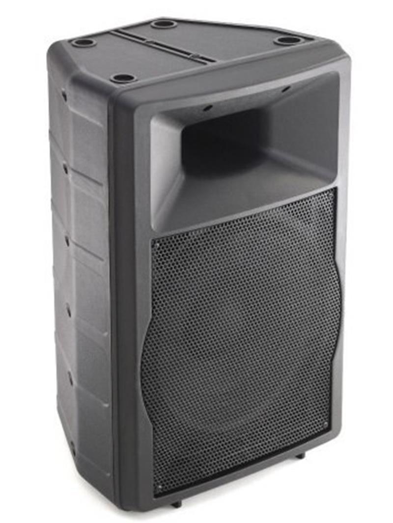 Enceinte professionnelle tout temps 250 Watts - EN 250 OUT - extérieure avec haut-parleur 30 cm_1