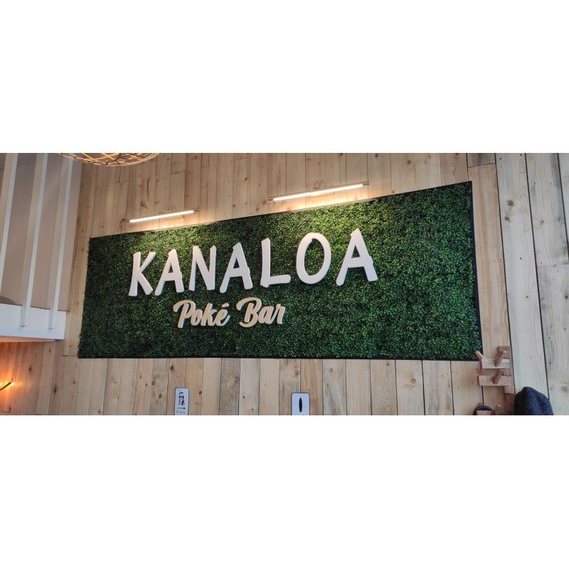 Logo ou lettres sur fond végétal - Lettres_1