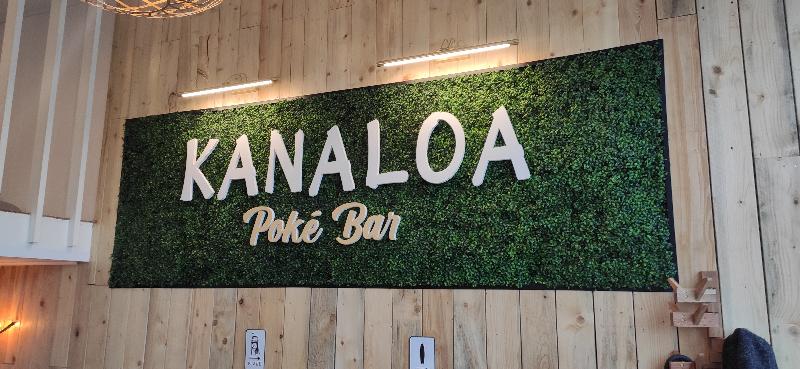 Logo ou lettres sur fond végétal synthétique - Lettres, Rouge_1