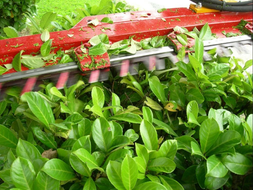 Équipement de taille hydraulique KIROGN pour coupe de précision