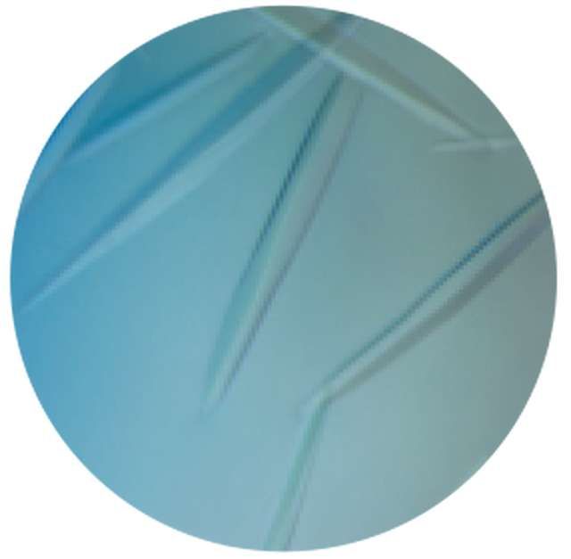 Nikon SMZ445 / SMZ460 - Stéréomicroscope compact avec grossissement de 0,7x à 3,5x et statif LED diascopique/épiscopique_1