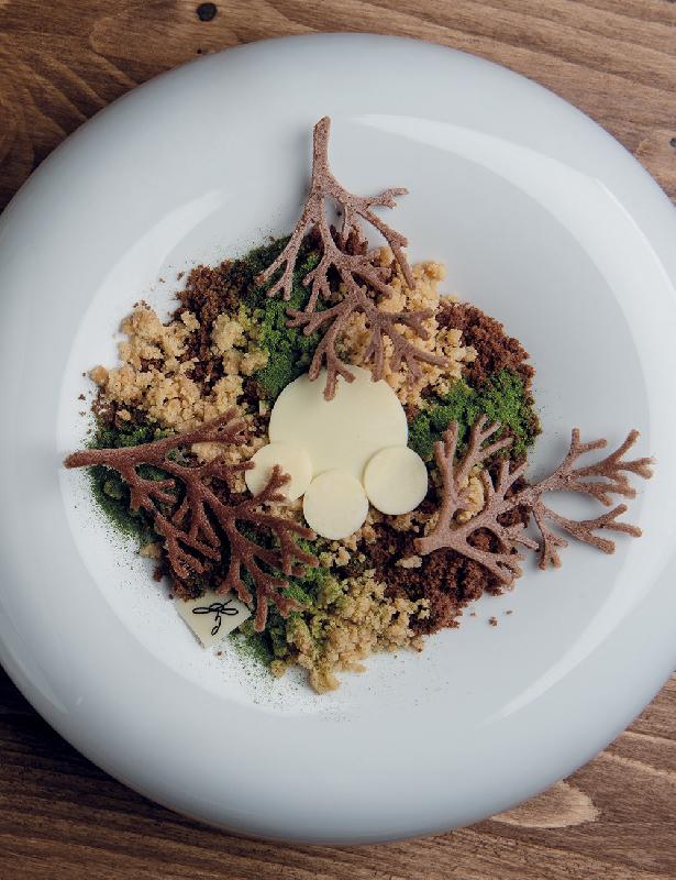 Wood - Moule en silicone Gourmand Horeca Pavoni Italia - 10 empreintes_1