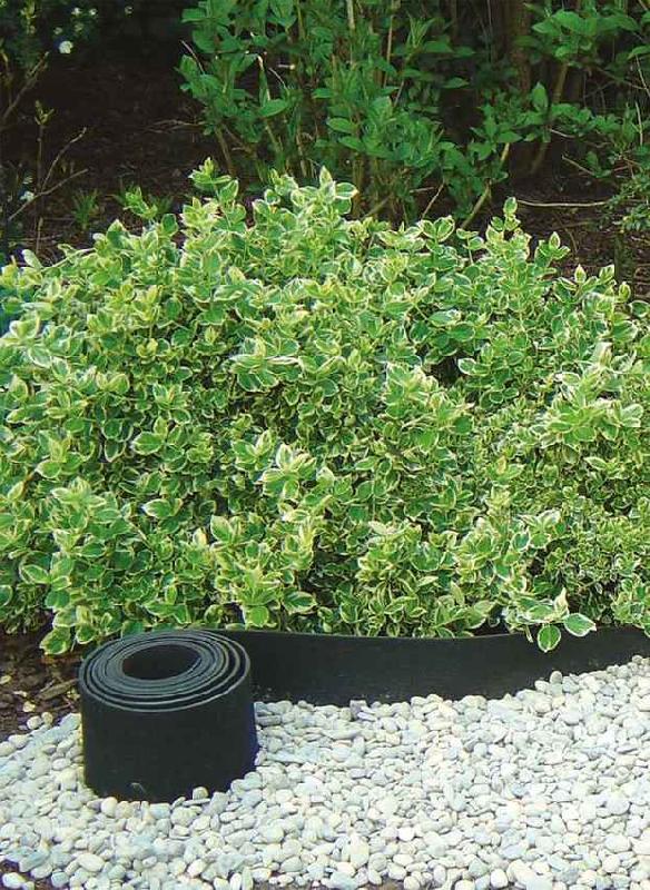 Bordure de jardin en caoutchouc recyclé - Selfix Bordura - 13 cm x 10 m - Noir - Imputrescible et écologique_1
