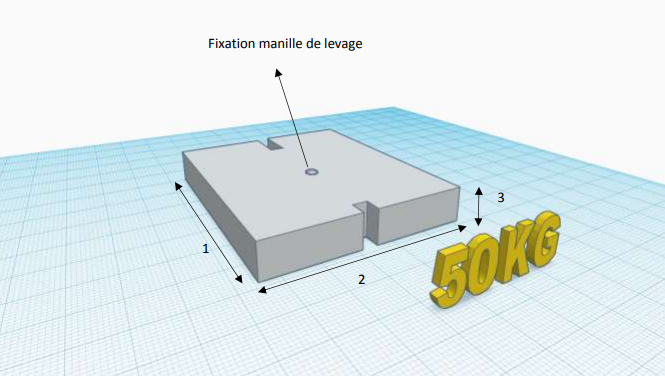 Masse 50 kg pour essai de palans et ponts roulants - 250 x 500 x 90mm - REF2220050_1