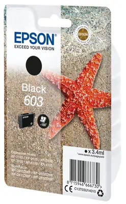 Epson Singlepack Black 603 Ink_1