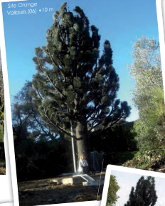 Pylones design - Pin accès échelle extérieure - Cyprès à feuillage dense - Cocotier - Arbre mort_1