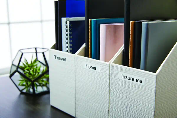 Dymo LW -àÉtiquettes pour classeurs grand format - 59 x 190_1