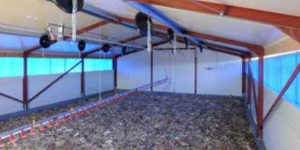 Bâtiment volaille déplaçable - Ossature métallique, panneaux sandwichs, 20 à 150m²_1