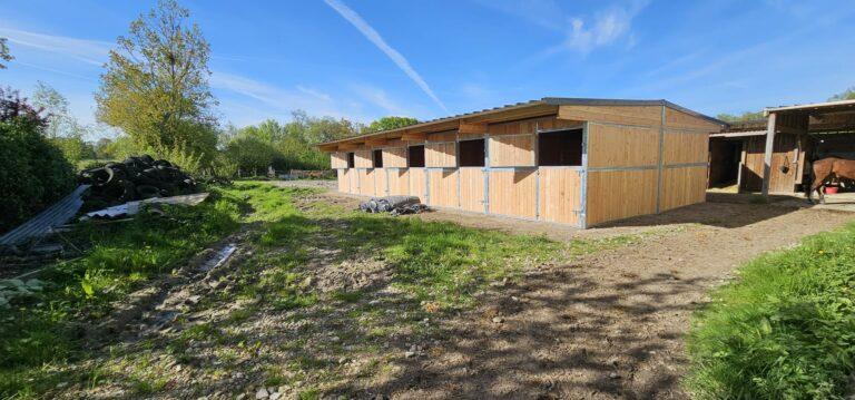 Boxes pro dos à dos en bois Douglas - BOX038 - Robustesse et élégance pour votre écurie_1