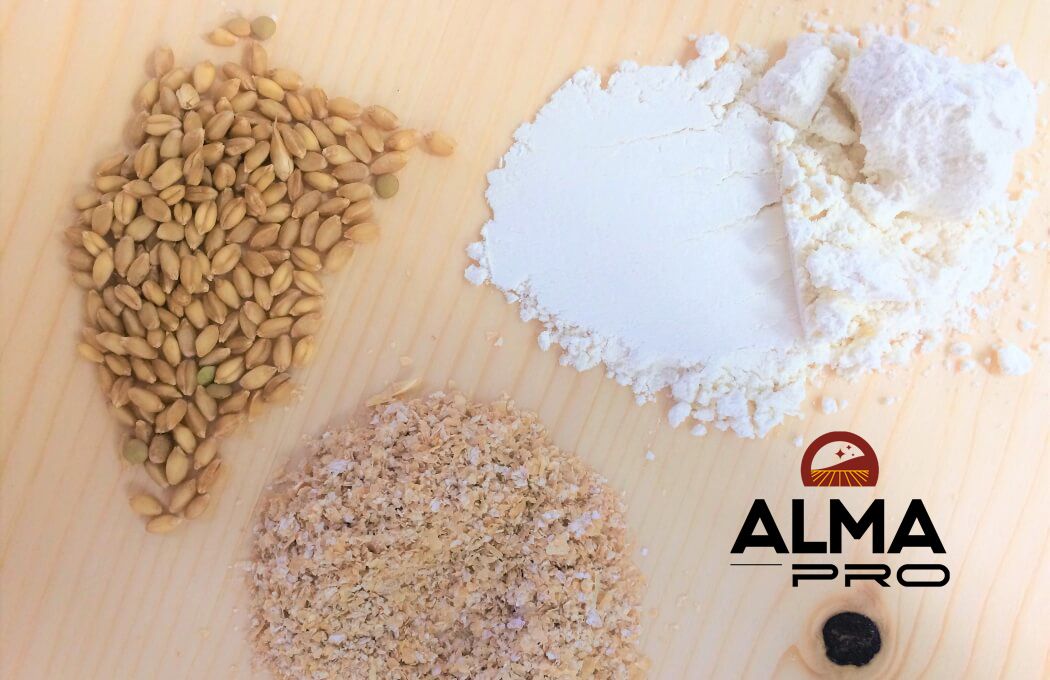 Moulin à meule de pierre 50 kg/h_1