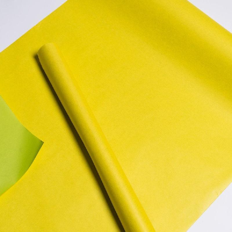 Papier kraft bicolore jaune/vert 0,70 x 50 m_1