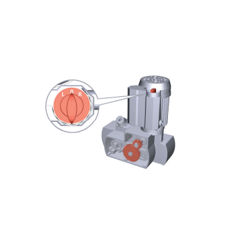 Steff2032 triphasé - Entraîneur à trois rouleaux avec potence et réglage rapide_1