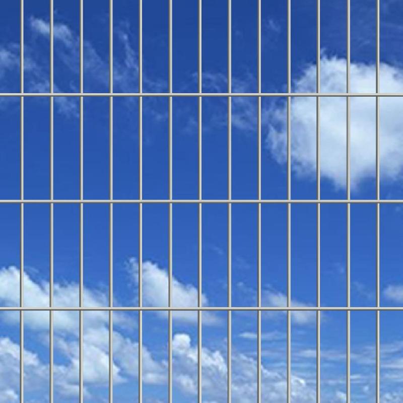 Vidaxl panneau de clôture de jardin 2d 2,008x0,83 m argenté 142068_1