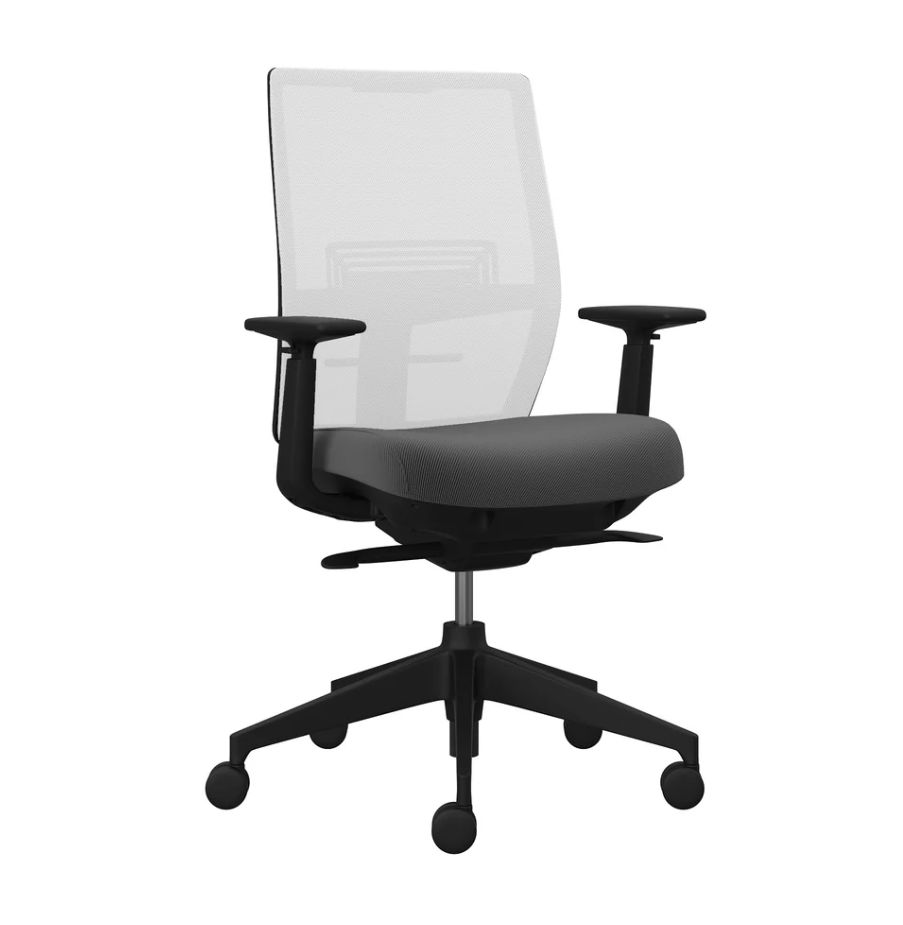 Fauteuil de bureau ergonomique - assise inclinable, réglages avancés et soutien lombaire_1