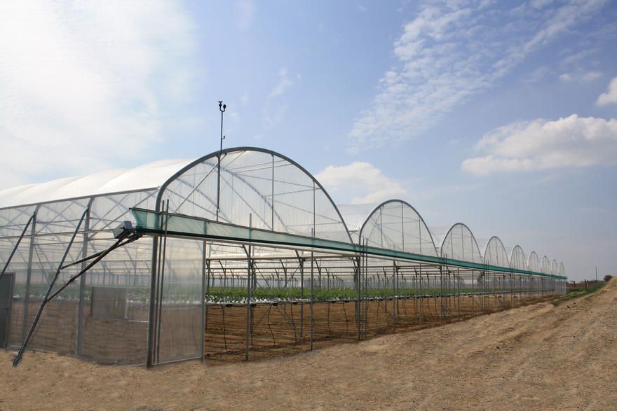 Serre chapelle robuste Baltique avec aération de toiture par enroulement