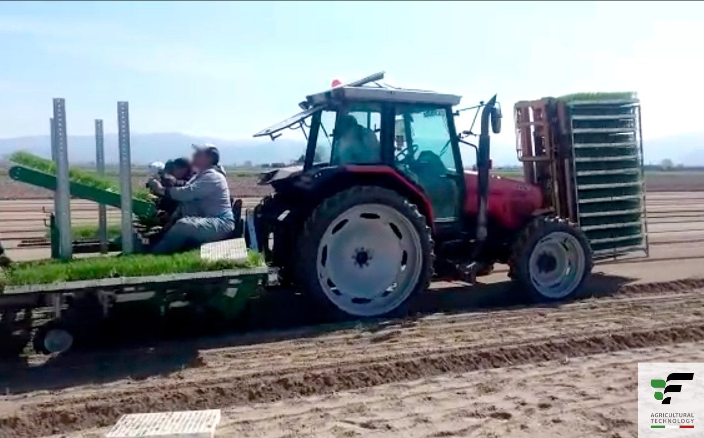 Max-m - planteuse Fedelemario - distance inter-plants de 15 à 162 cm - pour repiquage sur sol paillé ou nu_1