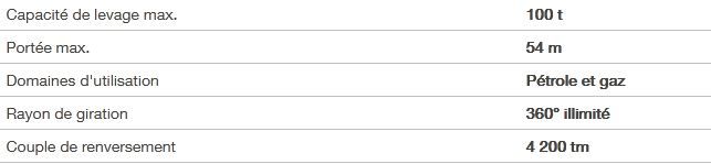 RL 4200 grue portuaire offshore - Liebherr - capacité de levage maximale 100t - portée 54m_1