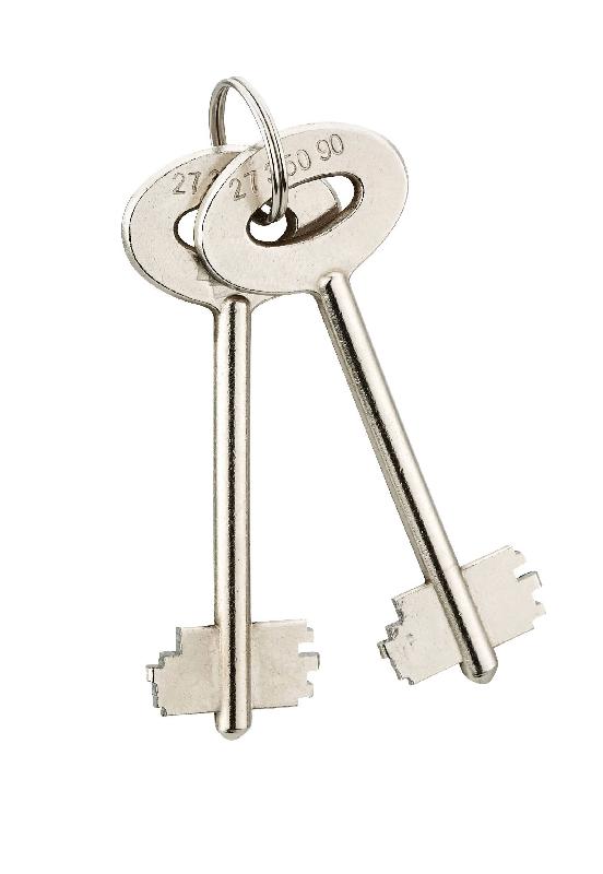 Coffre-fort de sécurité Sedan - 2 pênes - Serrure à double panneton - 37x27.5x27.5 cm - Gris - Thirard_1