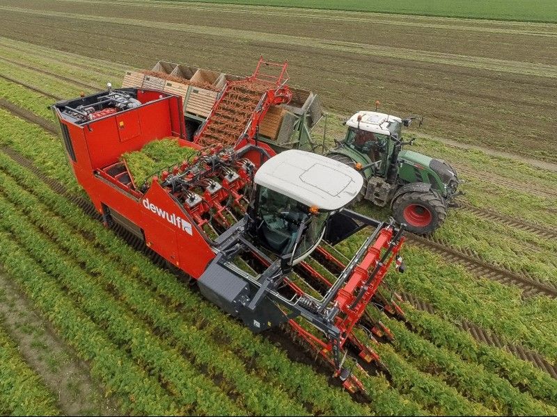 Arracheuse par préhension ZKIV - Dewulf BV - 120 t/h - 4 rangs - largeur 3500 mm - pour carottes fraîches_1