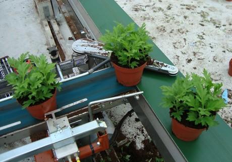 Tapis de transport Javo - cadre robuste en acier inoxydable ou aluminium - longueurs et largeurs personnalisables_1