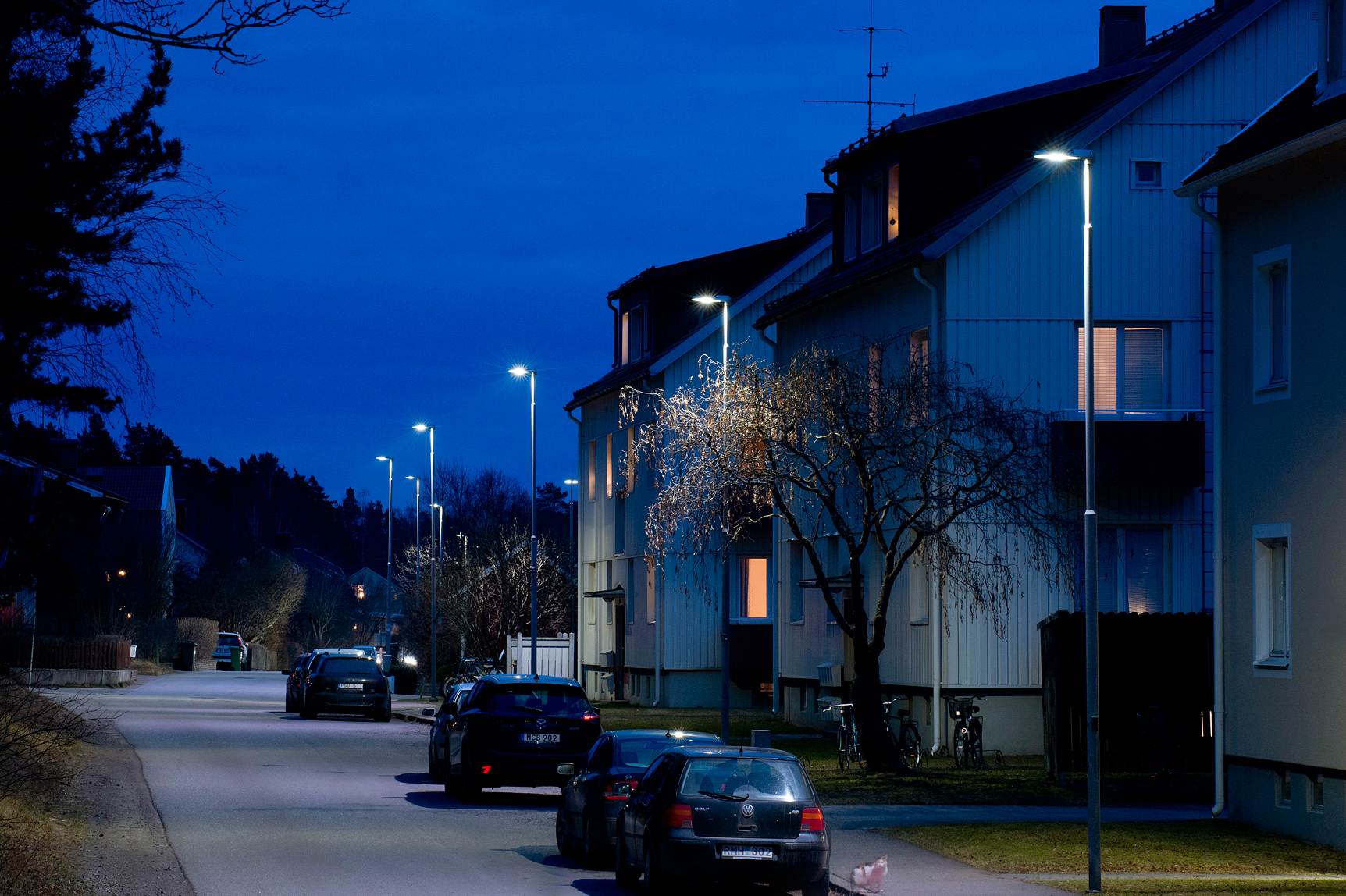 Luminaire d'éclairage public Evolume 1 740 CLO nocturne 2 - LED 62W 6300lm - Aluminium - Hauteur conseillée 8m_2