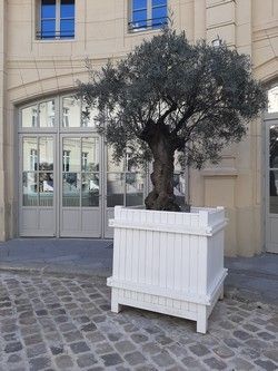 Bac d'orangerie oasis pour l'extérieur hauteur 1050 mm options sur mesure_0