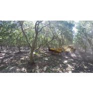 Shockwave Monoboom série VI - Vibreur arboricole OMC - Flèche standard 10 pieds ou 12 pieds en option - Tête d'agitation Magnum R-3 ou R-4_1