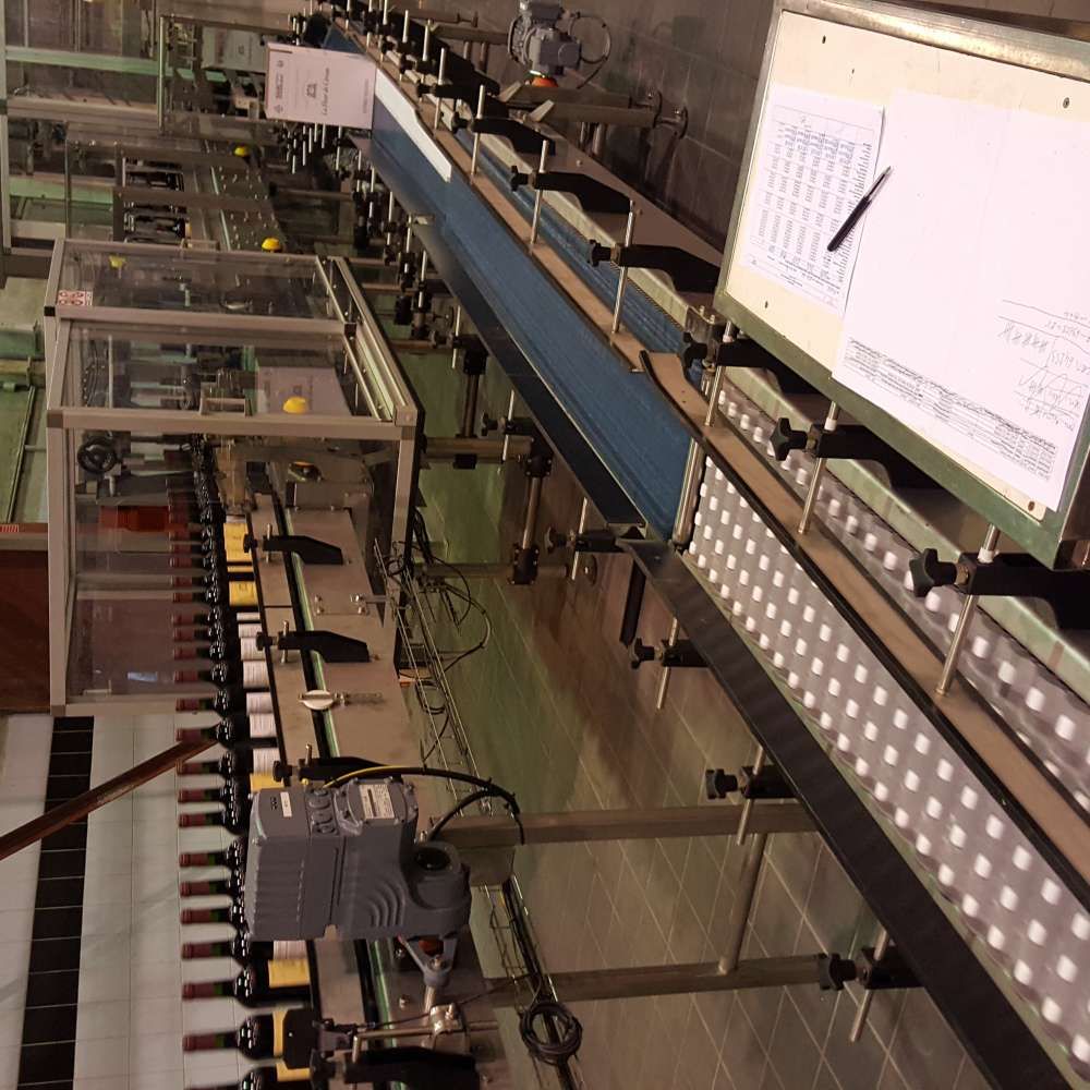 Convoyeur à bande robuste pour le transport de produits à fond plat, cartons, caisses, packs - cms_1