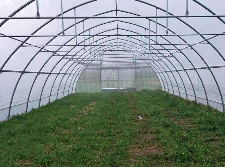 Serre à travée unique  idéale pour les agriculteurs et les amateurs - Tunnelart_1