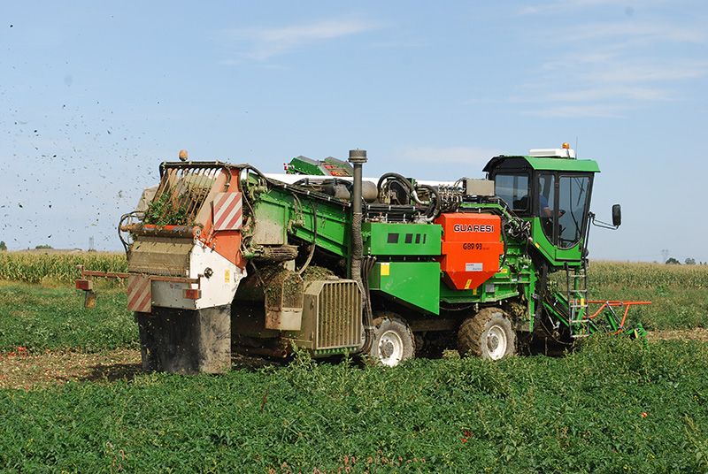 Récolteuse à tomates G-89/93 DS40