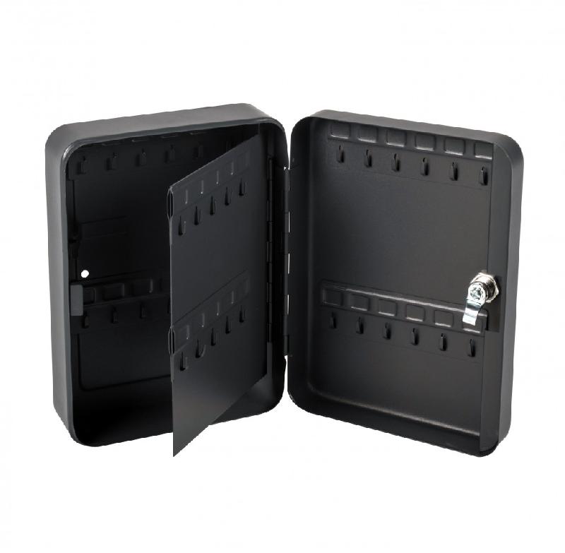 Armoire à clés - 44 crochets - Acier gris - l.18 x h.25 x p.8 cm - 2 clés incluses_1