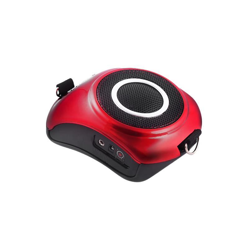 Amplificateur vocal avec micro serre-tête WAP 20N RONDSON - 10 Watts - Lecteur MP3, USB, SD, Tuner FM_1