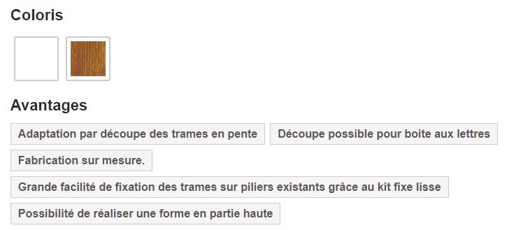 Clôture PVC CL 10 A - Type 10 A - CG Pro - Barreaudage vertical avec lames PVC et traverses moulurées_1