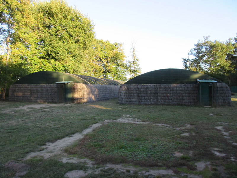 Voliere pour volaille alca torda_1