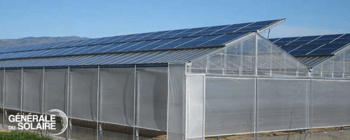 Serre photovoltaïque pour une production agricole intensive - protection climatique et transition énergétique_1