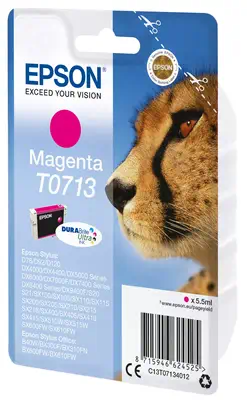 Epson Cartouche 