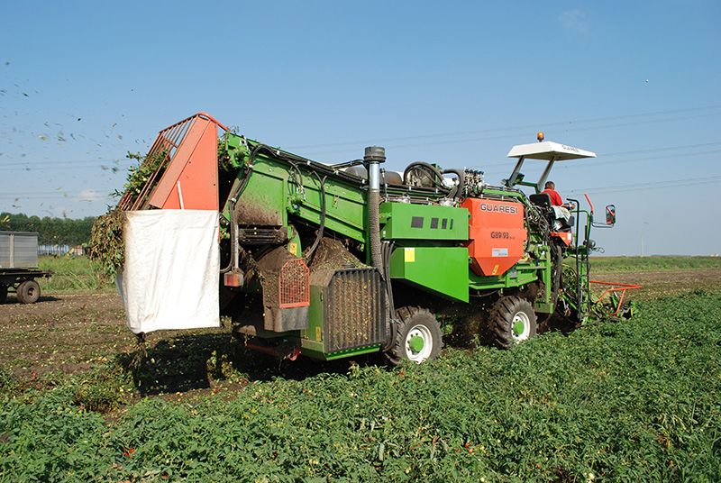 Récolteuse à tomates g 89/93 ds 32