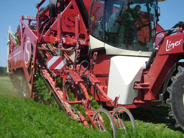 Récolteuse de carottes simon - standen engineering ltd - abatteuses 1 à 4 rangs_1