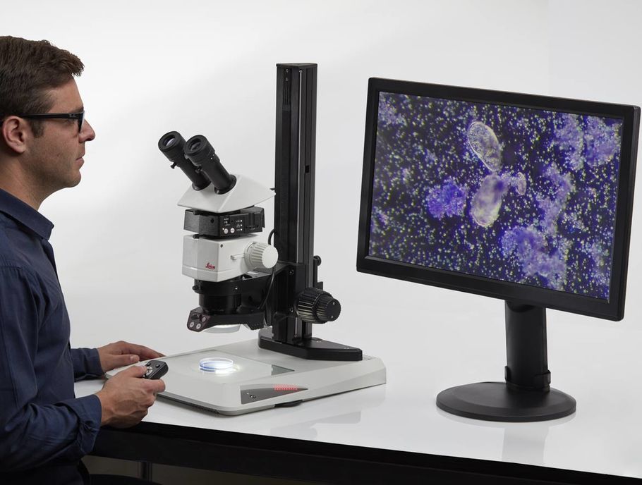 Caméra CMOS Leica IC90 E - pour stéréomicroscopes - résolution 10 MP - connectivité USB, HDMI et réseau_1