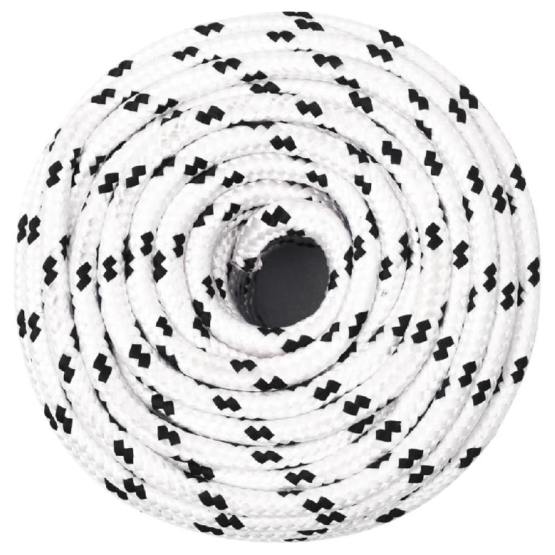 Vidaxl corde de travail blanc 10 mm 100 m polyester 152773_1