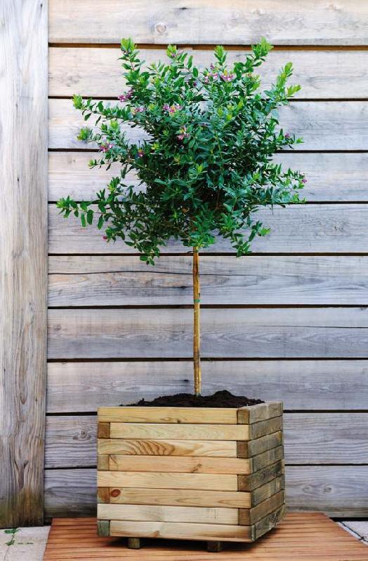 Bac carré Stockholm 50 - 65L - 50 x 50 x 43 cm en pin européen traité - épaisseur 4 cm_1