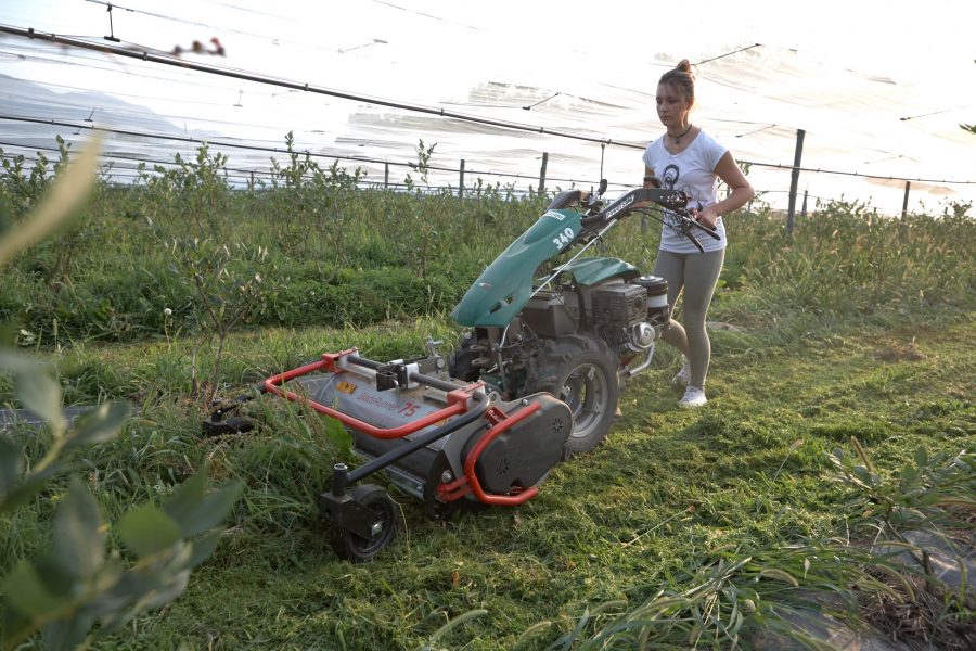 Motoculteur multifonctionnel à embrayage hydraulique avec largeur de fraise 80 cm - ferrari 340 powersafe®_1