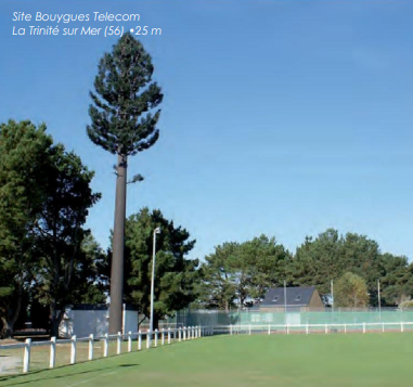 Pylones arbres accès intérieur - Karbre - de 12 à 30 m - couleur marron ou noir_1